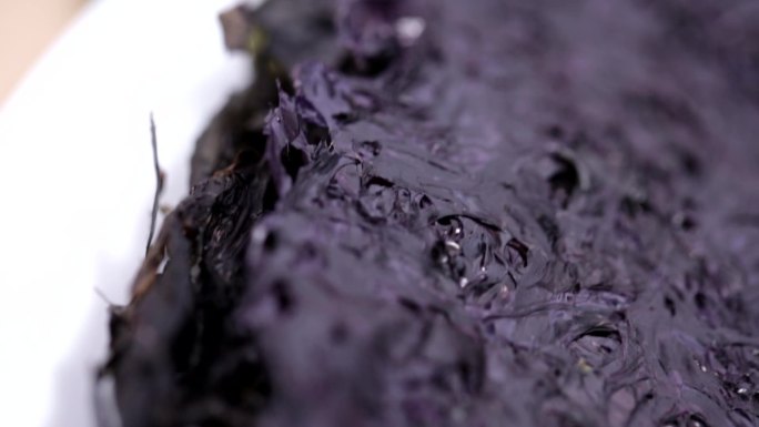 紫菜碘海带海藻水产海货河鲜
