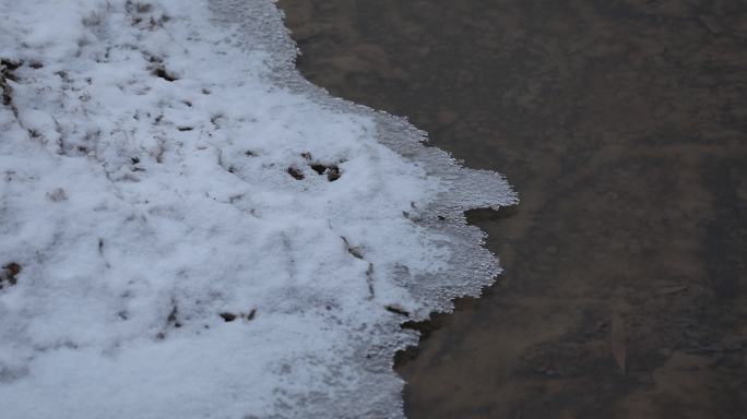 下雪了