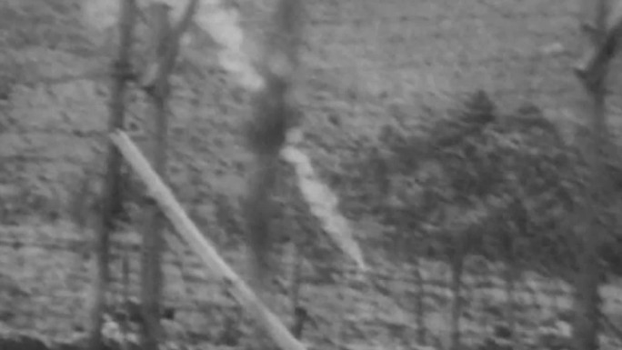 50年代巨济岛战俘营暴动事件