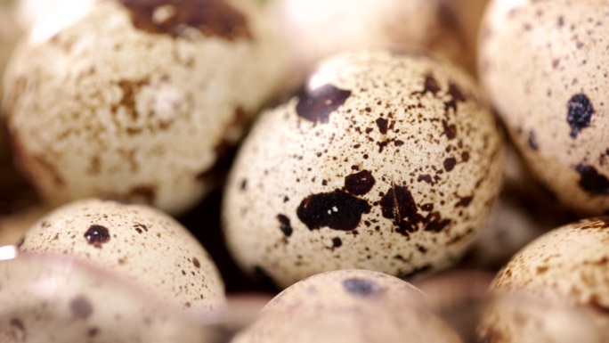 食品食材美食鸡蛋鹌鹑蛋蛋白质