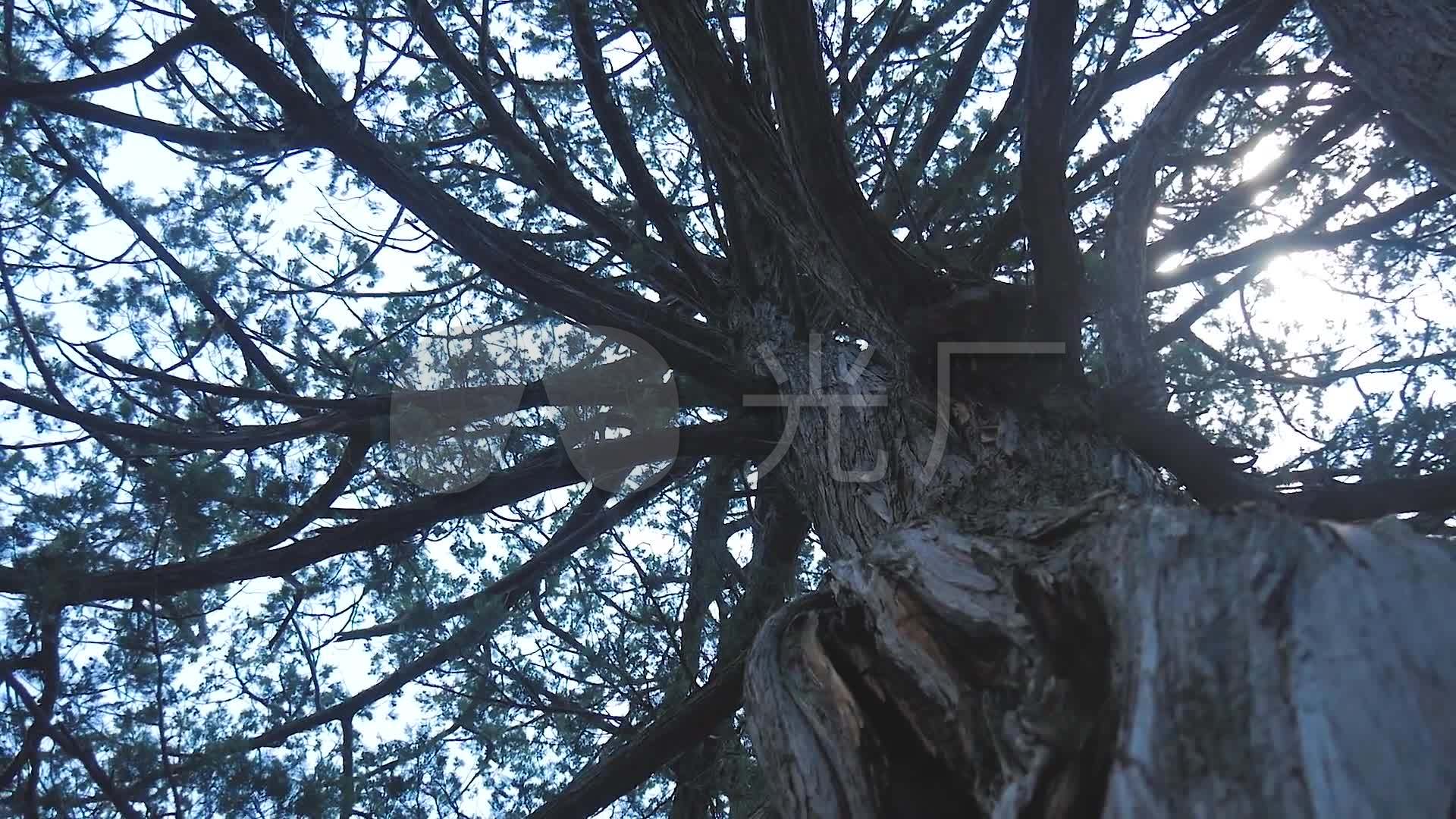 層巒疊翠的意思_層巒疊翠的什么_意思疊翠層巒的詩句