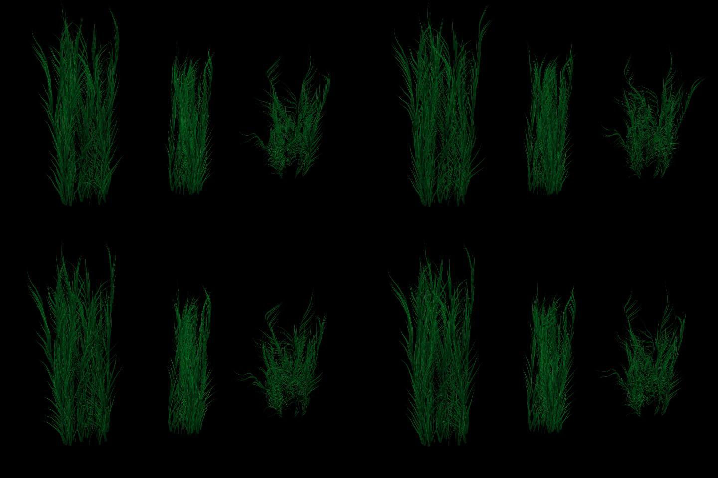 3种海草水草生长动画带透明通道