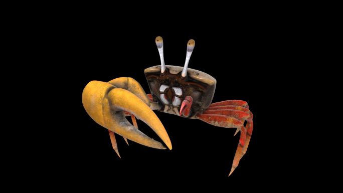 4K螃蟹动画通道素材
