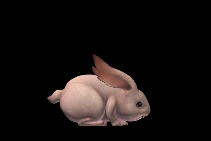 生物-小兔子-跳跃（带通道）