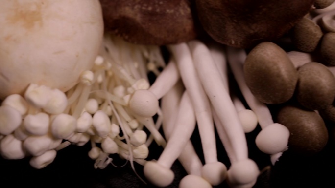 食品食材美食蘑菇白玉菇榛蘑海