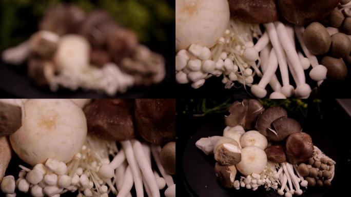 食品食材美食蘑菇白玉菇榛蘑海