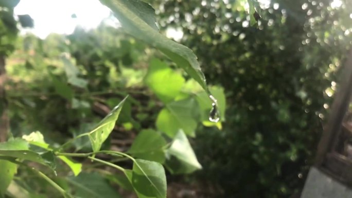 雨过天晴