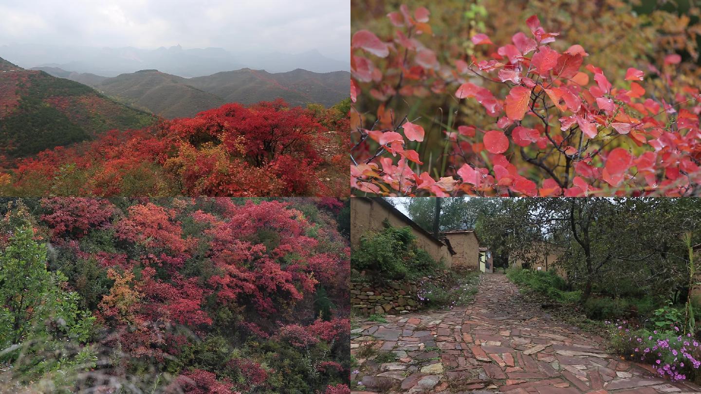 长治市四方山红叶秋景卜牛古村