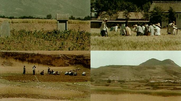 70年代黄土高原