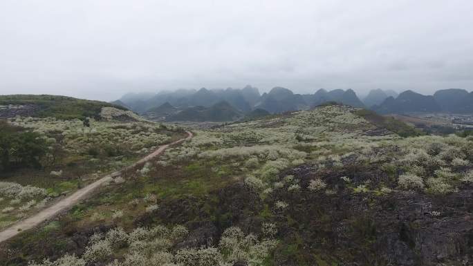 大岭山航拍(31)