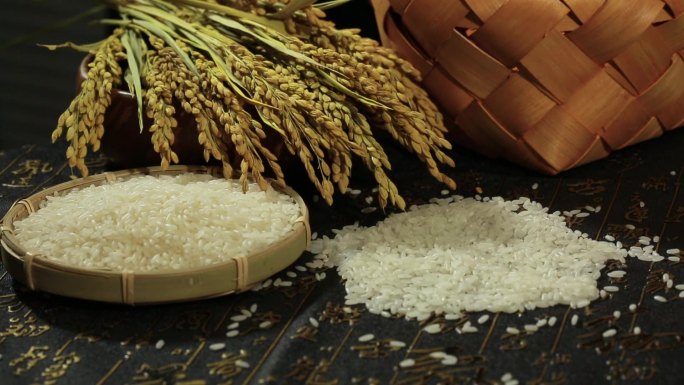 原创实拍大米水稻稻米
