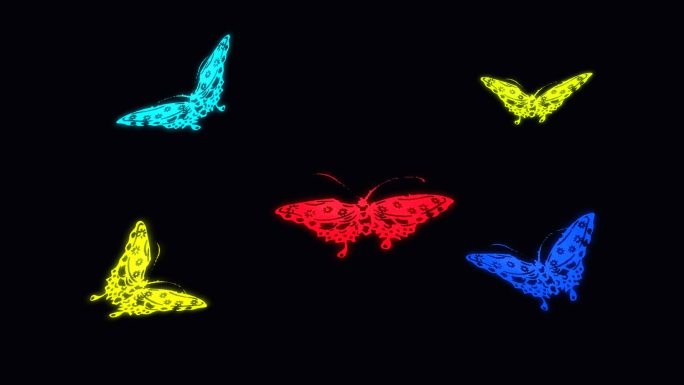 蝴蝶飞舞视频透明通道素材