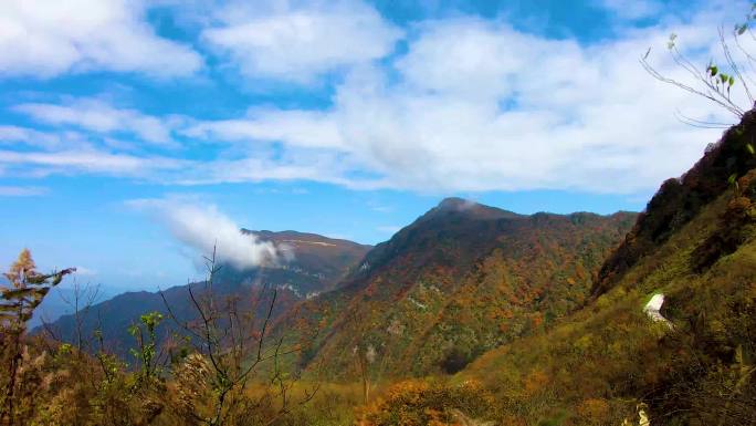 龙头山延时