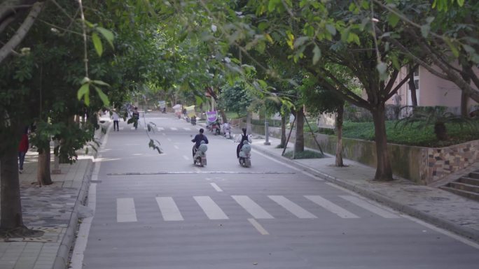 大学美女校园骑车