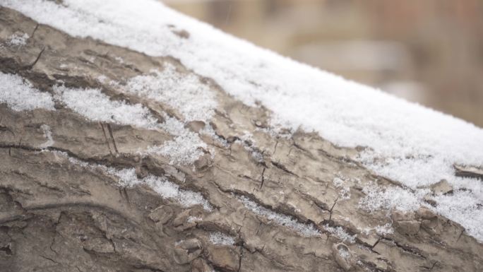 【原创】4K·可以做旧的雪景空镜头