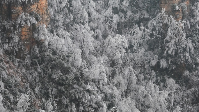 4K冰封天子山缆车索道06