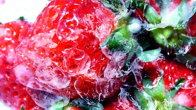 草莓冰冻过程视频