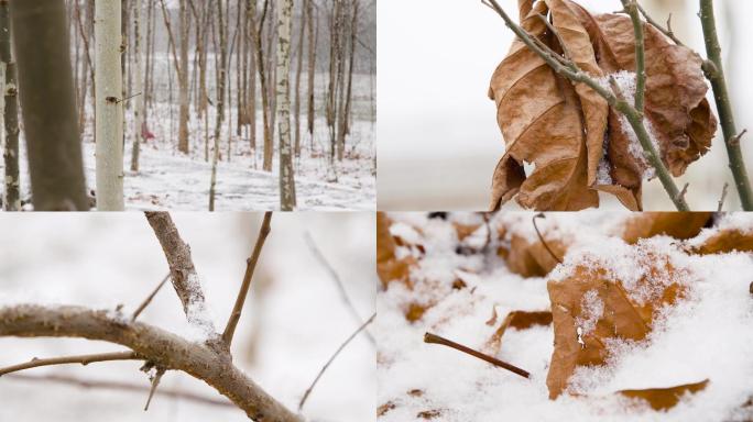 【原创】4K·小树林下大雪