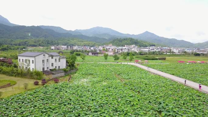 客家上杭古田会议莲花池航拍