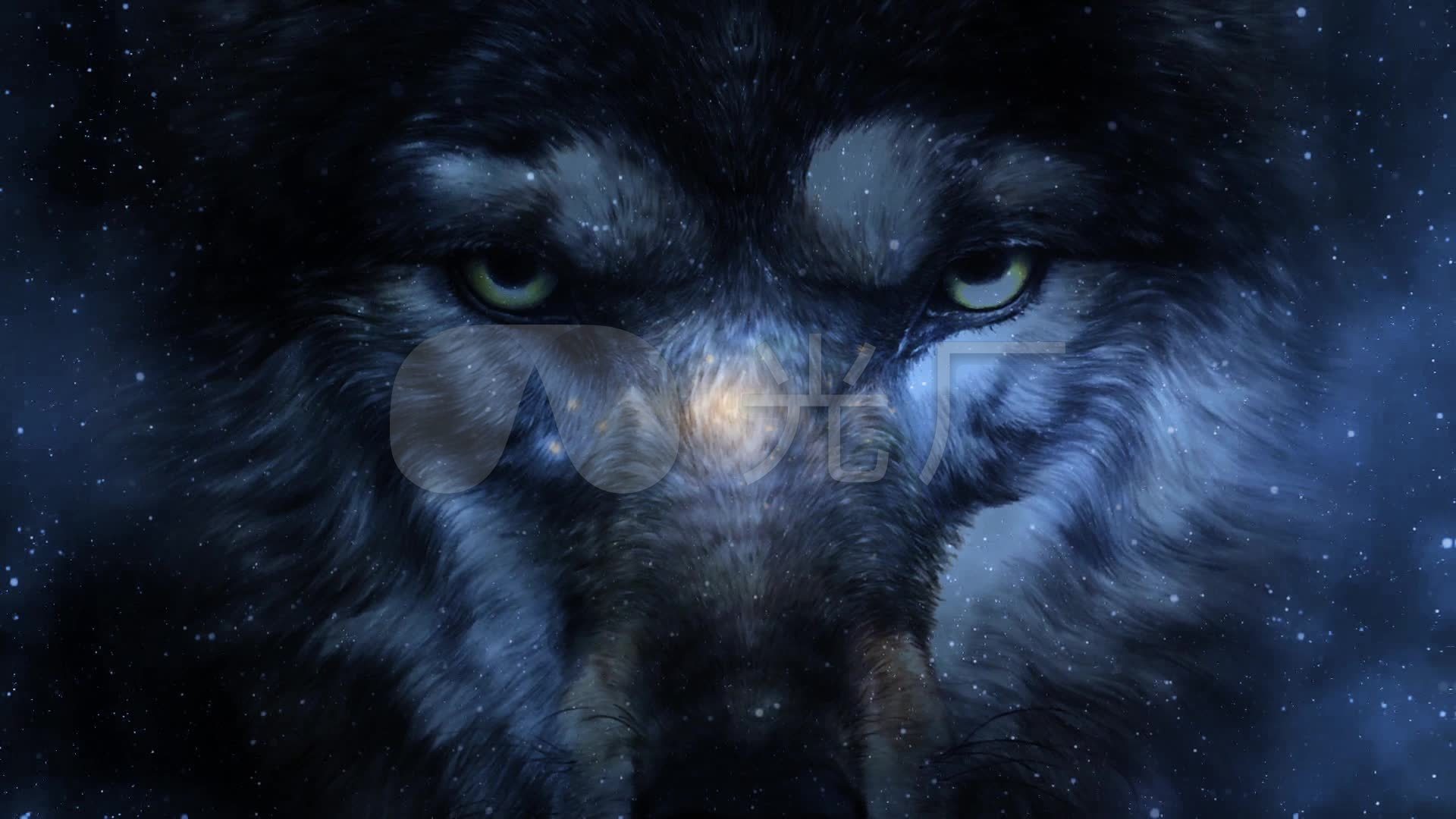 Wolf Eye Look - Free photo on Pixabay