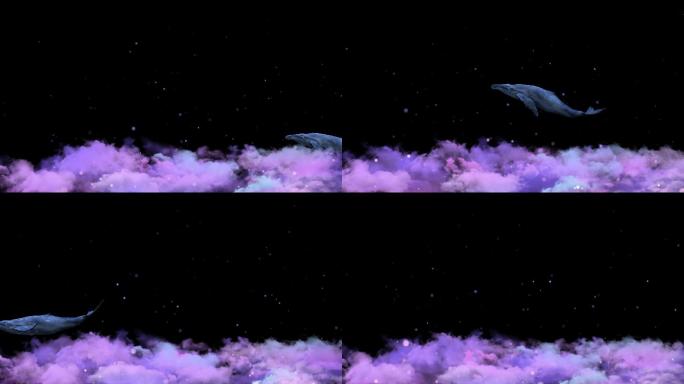 紫云鲸鱼
