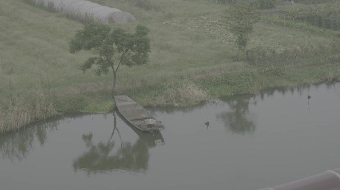 乡间小水塘景色