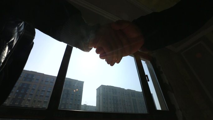 握手、合作、达成共识、逆光握手