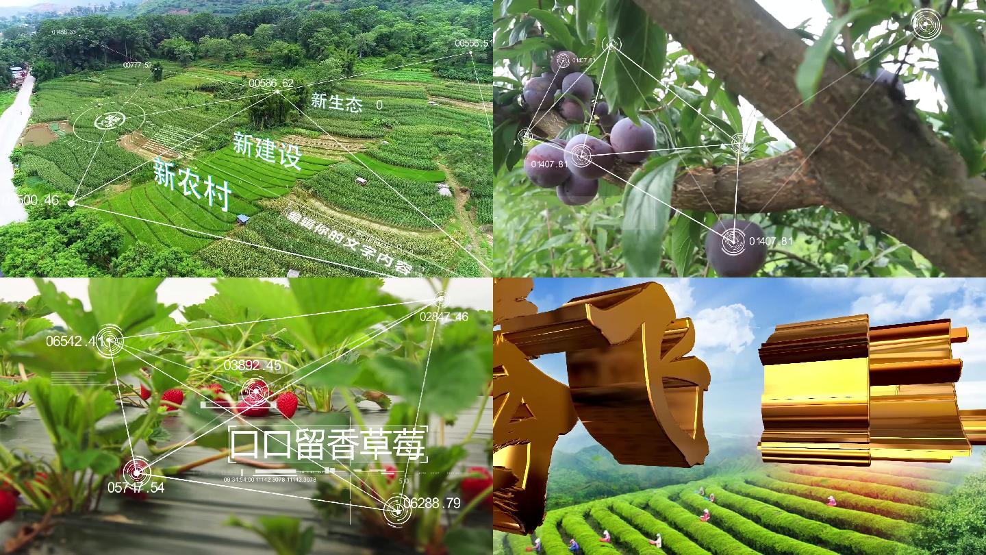 科技生态乡村农产品片头AE模板