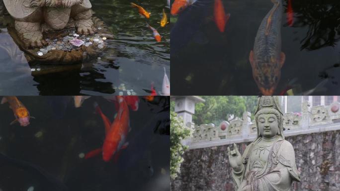 寺庙观音池与游鱼