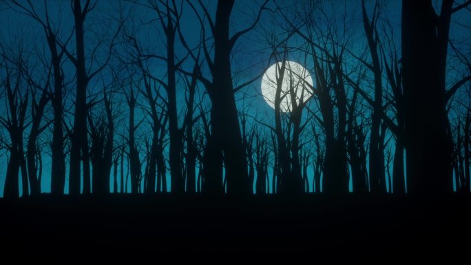 暗夜森林