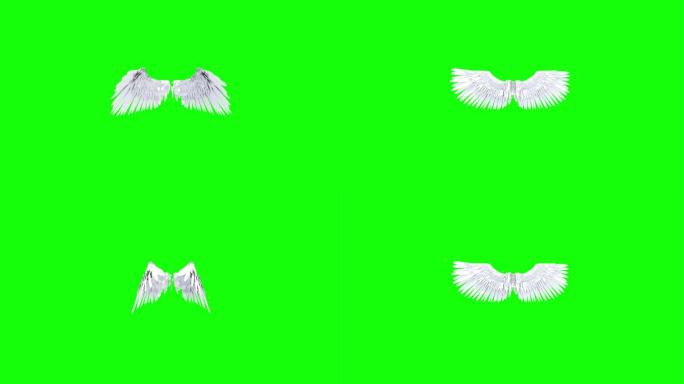 三维动画羽毛天使翅膀动画绿屏超4K