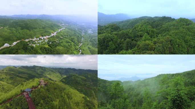 贵州森林风光4K