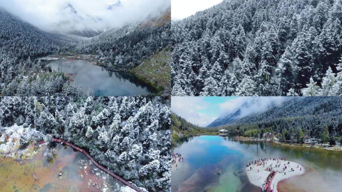 毕棚沟雪景