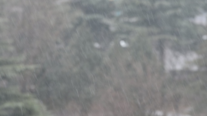 下雪雪景视频