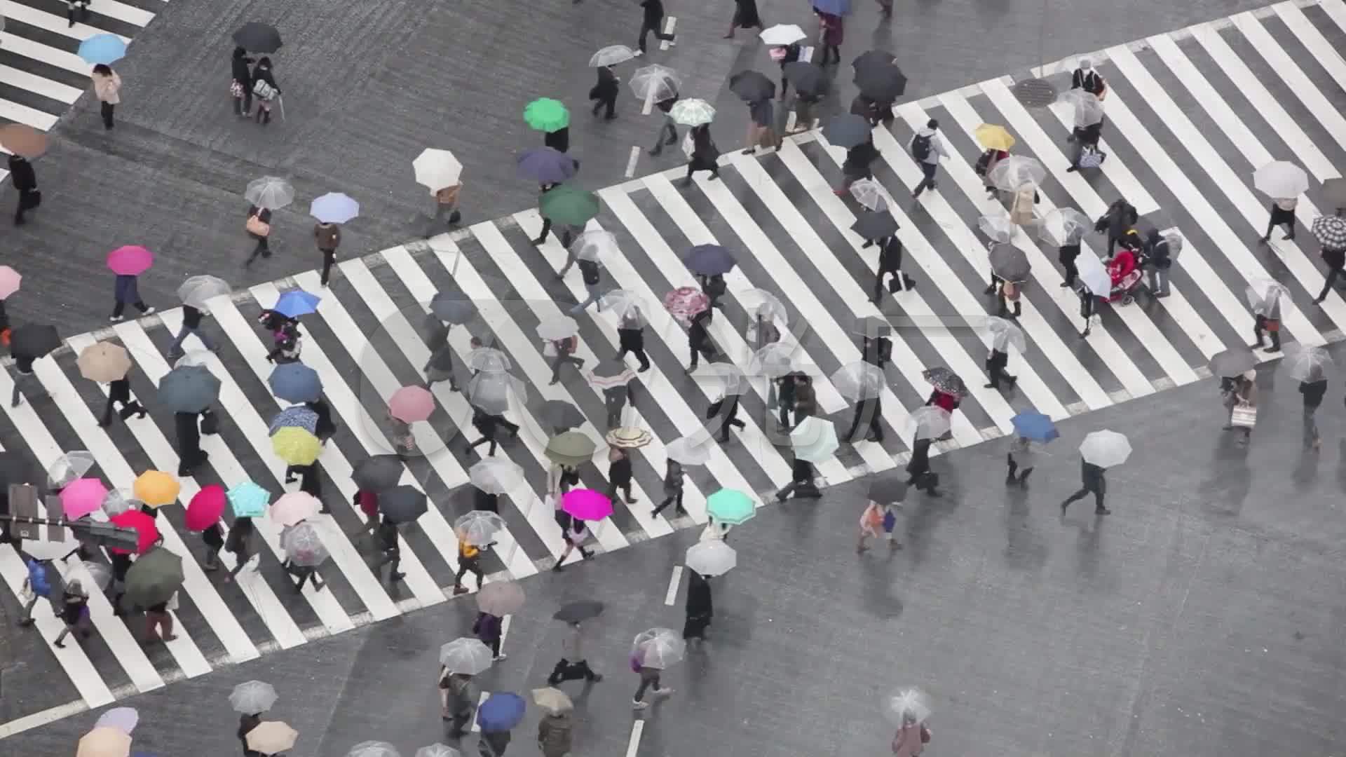 交通行人电动车走路的人路人马路骑_1920X1080_高清视频素材下载(编号:5628948)_实拍视频_VJ师网 www.vjshi.com