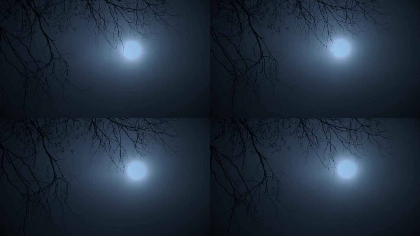 皓月当空夜晚明亮的月亮空境素材