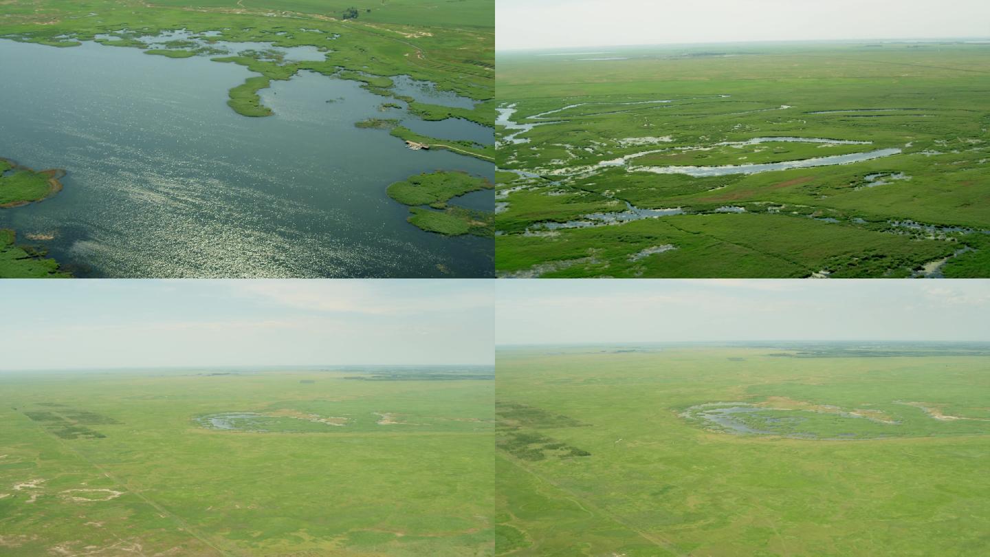 航拍国家重点自然生态保护区绿色湿地公园