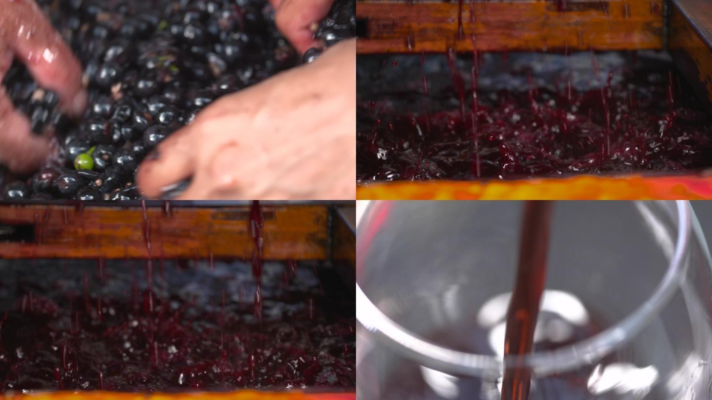 图解红葡萄酒的酿造过程-红酒世界网