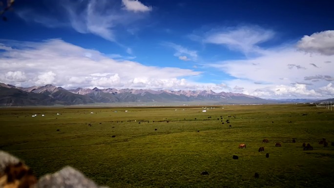 西藏高原草地