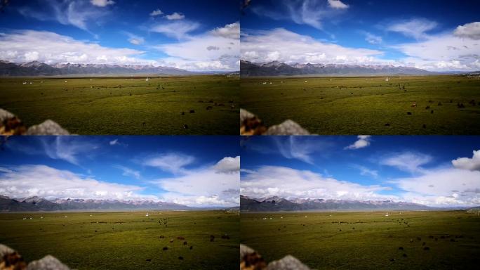 西藏高原草地