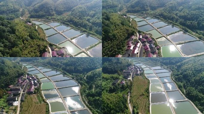 福建南平松溪县泥鳅养殖地航拍2