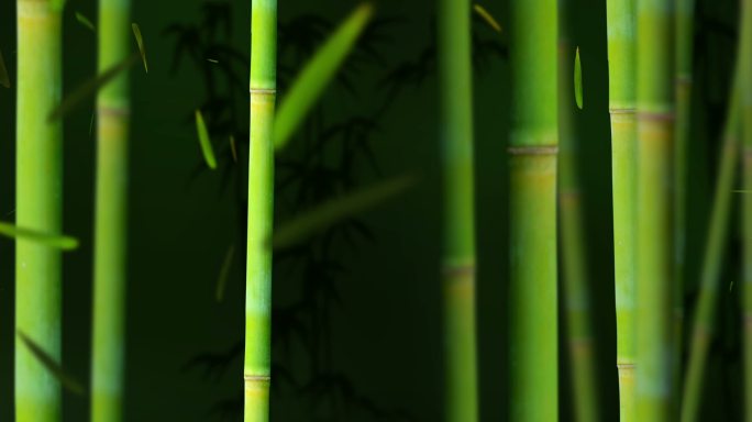 绿色竹林2