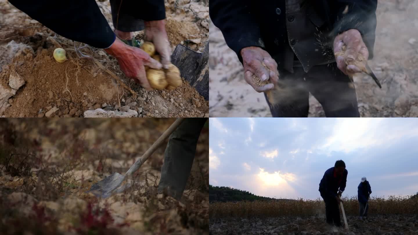 一组高清农民土地贫困开荒