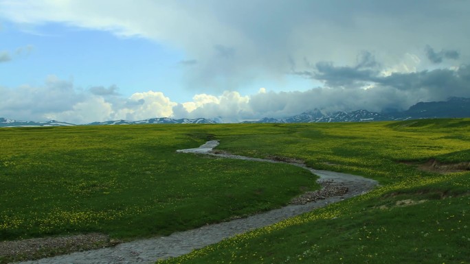 溪流草原延时