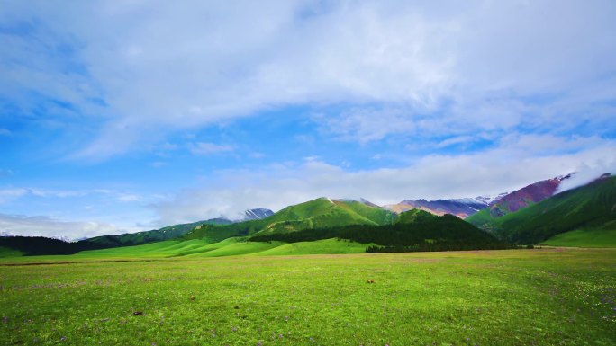 大美赛里木湖天空延时