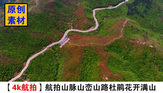 4K航拍山脉山峦山路杜鹃花开满山