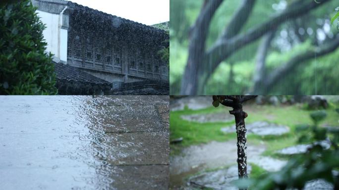 胡家花园里的夏雨