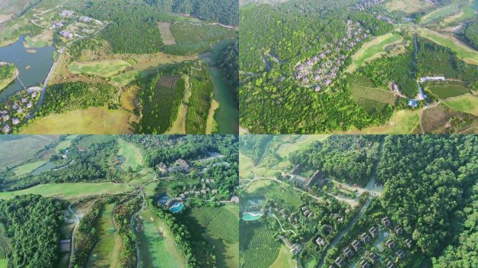 【4K】西双版纳野象谷热带雨林度假区