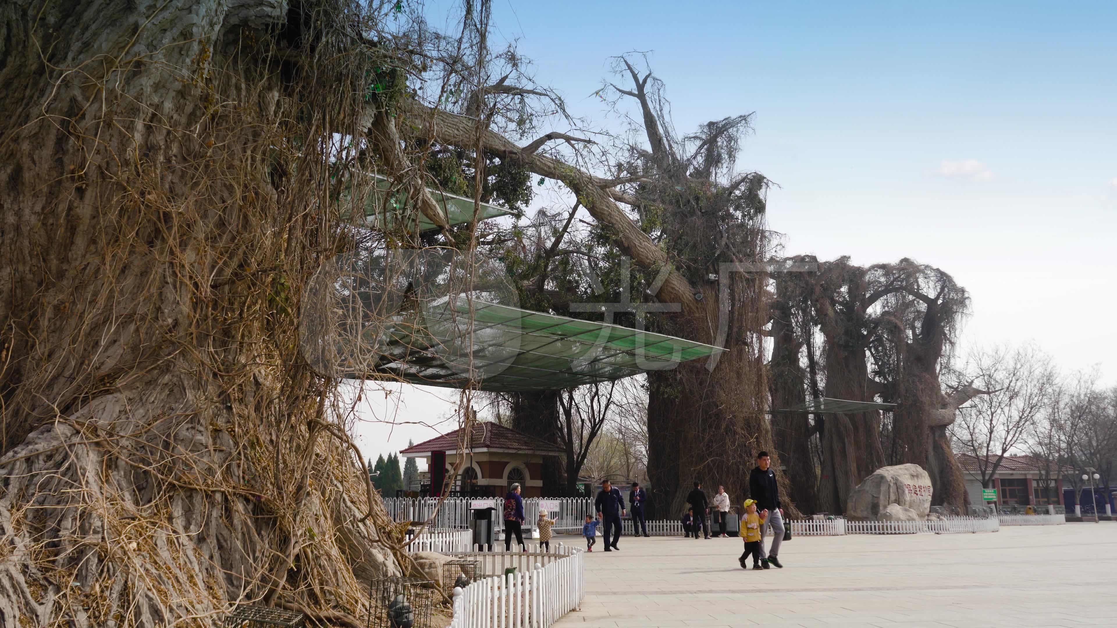 【原創】4k·保定植物園_3840x2160_高清視頻素材下載(編號:3383371)