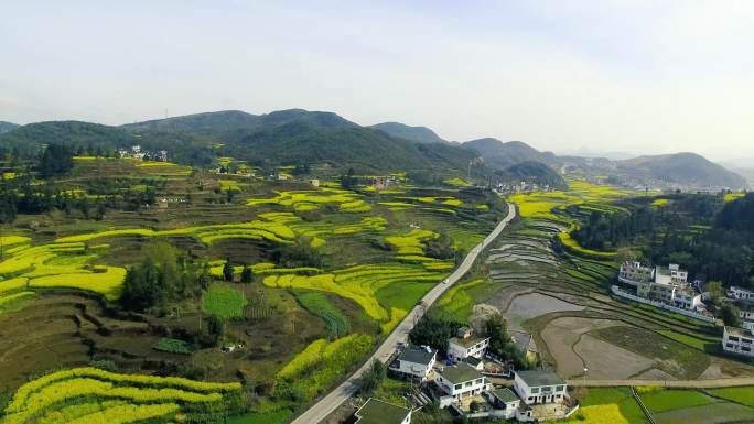 贵州清镇红枫湖美丽农村茶园最美高速